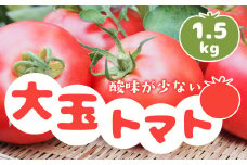 飛騨産トマト 1.5kg 大玉 麗月 syun64
