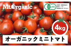 先行予約 2025年 オーガニック ミニトマト 約4kg 有機JAS認証 syun2