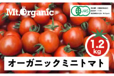 先行予約 2025年 オーガニック ミニトマト 約1.2kg 有機JAS認証 syun1