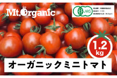 先行予約 2025年 オーガニック ミニトマト 約1.2kg 有機JAS認証 syun1