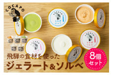 飛騨のジェラート ソルベ 8個入り 詰め合わせ 野菜 スイーツ ヘルシー アイス アイスクリーム ギフト プレゼント 誕生日祝い 国産野菜 カカポ　飛騨市