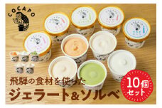 飛騨のジェラート ソルベ 10個入り詰め合わせ 野菜 スイーツ ヘルシー アイス アイスクリーム ギフト プレゼント 誕生日祝い 国産野菜 カカポ
