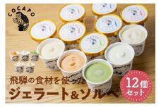 飛騨のジェラート ソルベ 12個入り 詰め合わせ 野菜 スイーツ ヘルシー アイス アイスクリーム ギフト プレゼント 誕生日祝い 国産野菜 カカポ