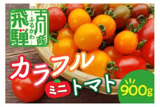 《先行予約》《期間限定・数量限定》飛騨産 トマト ミニトマト カラフルキュートなミニトマトの詰め合わせ 900g！ syun107