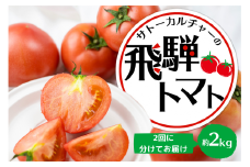 《先行予約》定期便 飛騨トマト 約2kg（8－12玉） 2回お届け 食べ比べ