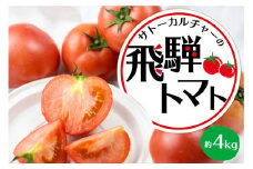 《令和7年産先行予約》飛騨トマト 約4kg（20－28玉）産地直送 野菜 とまと トマト 麗月 夏野菜 やさい サトーカルチャー  syun22
