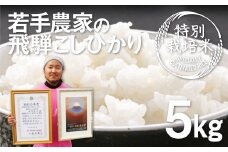 《先行予約》令和8年産 こしひかり 5kg 特別栽培米 食味コンクール受賞農家の特別栽培米コシヒカリ 米 新米 白米 お米 池本農園