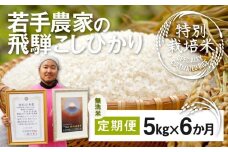 《先行予約》令和7年産【無洗米】米 定期便 特別栽培米コシヒカリ 5kg×6ヶ月 合計 30kg 池本農園 若手受賞農家のこだわりのお米