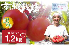 《訳あり》ひだかみ流葉　有機大玉トマト1.2kg 有機JAS認定 とまと 産地直送 夏野菜 野菜 傷あり 割れ
