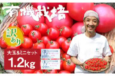 《訳あり》ひだかみ流葉　有機大玉トマト＆ミニトマト1.2kg 有機JAS認定 とまと 産地直送 夏野菜 野菜 詰め合わせ セット 傷あり 割れ ヘタ取れ 過熟