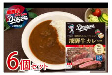 中日ドラゴンズコラボ 飛騨牛カレー 6食 常温保存  常備食 レトルト カレー