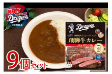 中日ドラゴンズコラボ 飛騨牛カレー 9食 常温保存  常備食 レトルト カレー