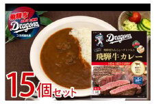 中日ドラゴンズコラボ 飛騨牛カレー 15食 常温保存  常備食 レトルト カレー