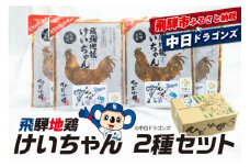 中日ドラゴンズコラボ 飛騨地鶏けいちゃん2種セット けいちゃん 鶏　味噌味 えごま味
