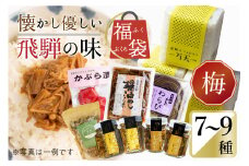 懐かし優しい飛騨の味 福袋【梅】7～9種類 詰め合わせ セット 米 山菜 缶詰 お惣菜 ご飯のお供 熨斗対応 熨斗掛け 内祝い 贈答用 ギフト