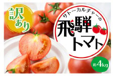 《令和7年産先行予約》【訳あり】飛騨トマト 約4kg 6月下旬～11月にかけて収穫次第順次発送 とまと トマト 麗月 訳あり 不揃い 傷 キズ 玉数・大きさおまかせ 15～28玉 サトーカルチャー syun23