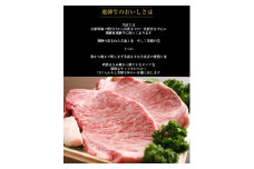 ハイグレード　希少部位入り♪飛騨牛ステーキバラエティセット 約1.5kg 飛騨牛 牛肉 霜降り 希少部位 和牛 黒毛和牛 飛騨 詰め合わせ 