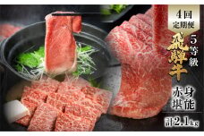 飛騨牛 赤身堪能定期便 4回定期便 しゃぶしゃぶ ステーキ 焼肉 すき焼き 肉の沖村 牛肉 肉 御中元 熨斗掛け【ごちそう】 贅沢飛騨牛