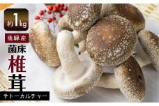 菌床しいたけ 約1kg 4パック 国産 椎茸 シイタケ 生しいたけ きのこ キノコ 鍋に すきやきに syun26