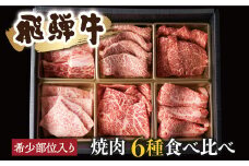 飛騨牛 焼肉 6種食べ比べ 希少部位 各100g 計600g 牛肉 肉 部位おまかせ 赤身 霜降り和牛 ギフト 贈り物 飛騨市