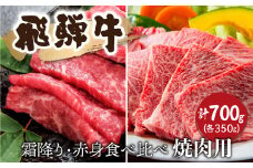 飛騨牛 霜降り・赤身 焼肉 各350ｇ（計700g） 牛肉 和牛 バラ モモカタ 食べ比べ 贈り物 ギフト 肉 牛肉 焼肉 お楽しみ 飛騨市 [Q2523]
