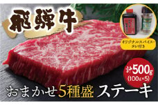 飛騨牛おまかせステーキ５種類盛　各100g（計500g） ｽﾊﾟｲｽ・ﾀﾚ付き 部位お任せ 牛肉 和牛 ステーキ 食べ比べ 贈り物 ギフト 飛騨市
