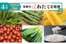 飛騨市 採れたて定期便 6回 野菜 夏野菜 冬野菜 お楽しみ 旬のもの 野菜 トマト トウモロコシ 米 コシヒカリ   