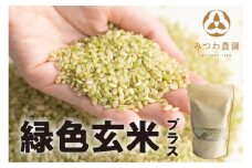 みつわ農園 若玄米 青玄米 300g×8袋 緑色玄米 GABA豊富 飛騨米 玄米  syun48
