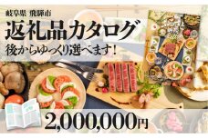 後からゆっくり返礼品を選べる♪飛騨市のふるさと納税カタログ　 飛騨牛 日本酒 ラーメン 乳製品 米 野菜 定期便 など約200種類以上