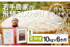 《先行予約》令和8年産【無洗米】米 定期便 特別栽培米コシヒカリ 10kg×6ヶ月 合計60㎏ 池本農園 若手受賞農家のこだわりのお米  syun111