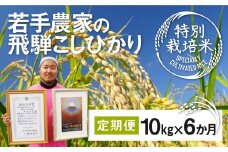 《先行予約》令和8年産 米 定期便 こしひかり 特別栽培米 10kg×6か月 合計60kg 若手受賞農家 池本農園 こだわりのお米