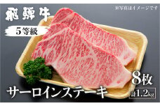 飛騨牛サーロインステーキ 計1.2kg(8枚) 国産牛 国産 牛肉 肉 厳選 熟成 贈答用 肉の沖村