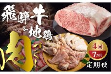 飛騨市まるごと定期便「肉づくしのアウトドア」4回定期 飛騨牛 焼肉 地鶏 串 焼き鳥 牛肉  頒布会 70000円 7万円