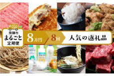 飛騨市まるごと定期便「人気特産品」8回定期 ラーメン 牧成舎 飛騨牛 こしひかり 米 そば 頒布会 80000円 8万円