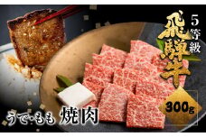 飛騨牛うでorもも焼肉 300g 焼き肉 BBQ 国産牛 国産 牛肉 肉 厳選 熟成 贈答用