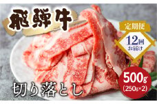 【定期便】飛騨牛 切り落としスライス500g 12回お届け 焼肉 牛肉 肉  訳あり 不揃い 部位おまかせ 焼き肉 和牛 すき焼き 肉じゃが 炒め物 煮物 ギフト 贈り物