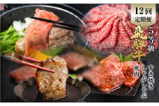 定期便 全12回 飛騨牛 5等級 しゃぶしゃぶ すき焼き 焼肉 お楽しみ定期便 12ヵ月 ロース もも うで 食べ比べ 国産牛 国産 牛肉 肉 厳選 熟成 肉の沖村