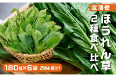 《期間限定》《定期便》ほうれん草2回2種食べ比べ定期便 山之村 なかだファーム ホウレンソウ 野菜 食べ比べ 高原 サラダ 産地直送 葉物野菜 1万円 10000円［Q1286］