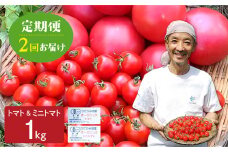 【2回定期便】コクと旨味のあるトマト・ミニトマト 1kg 2回 定期便 野菜 有機栽培 受賞農家 無農薬栽培 国産 常温 おかず 惣菜 野菜 定期便 飛騨市 15000円 時間指定可
