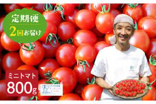 【2回定期便】コクと旨味のあるトマト・ミニトマト 800g 2回 定期便 野菜 有機栽培 受賞農家 無農薬栽培 国産 常温 おかず 惣菜 野菜 定期便 飛騨市 15000円  時間指定可 [Q1301x]