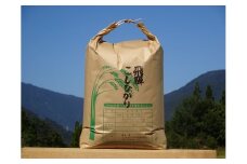 令和6年産 飛騨コシヒカリ 10kg  精白米 白米 米  こしひかり 新米 コシヒカリ 福永農園