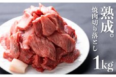飛騨の牧場で育った熟成飛騨牛『山勇牛』焼肉 切り落とし 切落し 訳あり 訳アリ わけあり ワケアリ 不揃い ミックス 希少部位入り 1kg A4・A5ランク飛騨牛