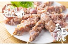 感動濃旨！飛騨地鶏焼き鳥12本 地鶏 焼き鳥 鶏肉 もも 飛騨地鶏  鶏肉 モモ肉  国産鶏肉 国産地鶏 アウトドア キャンプ とり肉 小分け鶏肉 冷凍鶏肉 パウチ鶏肉