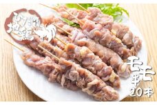 感動濃旨！飛騨地鶏焼き鳥20本 地鶏 焼き鳥 鶏肉 もも 飛騨地鶏  モモ肉  国産 国産地鶏 アウトドア キャンプ とり肉