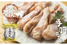 地鶏 鶏肉 飛騨地鶏 手羽元 3kg 国産 地鶏 国産地鶏 骨付き からあげ用 生 唐揚げ 鶏肉 手羽 お肉