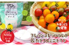 【夏限定】飛騨の新鮮フレッシュモッツァレラチーズ＆カラフルミニトマト