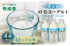 12回定期便 牧成舎 ミルクと砂糖、乳酸菌だけの飲むヨーグルト4本 のむヨーグルト 乳製品 定期便 お楽しみ 12ヵ月