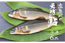 先行予約【令和7年7月末～9月上旬発送】高原川の天然鮎6匹 鮎 あゆ アユ 川魚 魚 サカナ 天然 冷凍  seas46