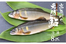 先行予約【令和7年7月末～9月上旬発送】高原川の天然鮎8匹 鮎 あゆ アユ 川魚 魚 サカナ 天然 冷凍  seas47