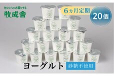 6回定期便 飛騨産ミルクと乳酸菌だけのプレーンヨーグルト20個 砂糖不使用 牧成舎 乳製品 定期便 お楽しみ 6ヵ月